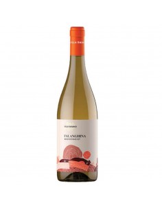 Villa raiano cl75 falanghina beneventano igt