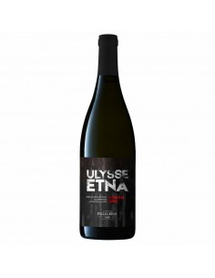 Pellegrino ulysse etna rosso cl75