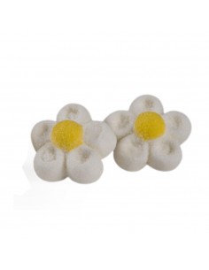 Rossini s mallow gr900 margherite bianche