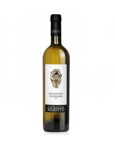 Tenuta scuotto falanghina cl75