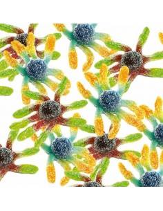 Casa del dolce trolli kg1 polpo frizz.