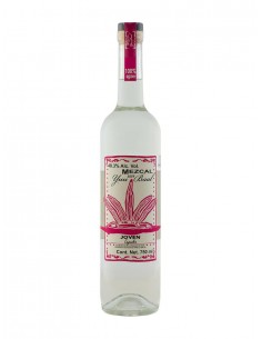 Mezcal yuu baal cl70 joven 40%