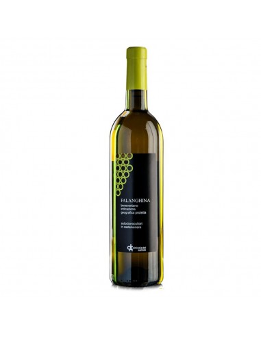 Vinicola del sannio falanghina cl25 igp
