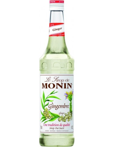 Monin sciroppo cl70 zenzero