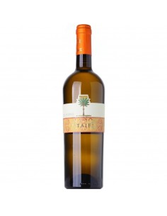Fina taif zibibbo cl.75