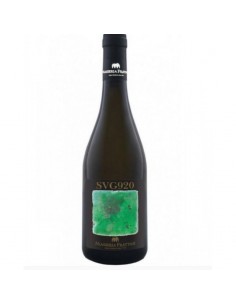 Frattasi cl75 sauvignon svg920
