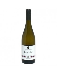 Lisandro pallagrello bianco lancella cl.75