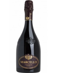 Ariola marcello langhirano parma lambrusco cl75 gran cru