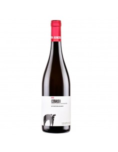 San salvatore cl75 aglianico igp ceraso