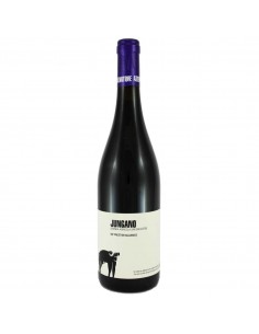 San salvatore cl75 aglianico igp jungano