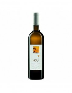 Olivella kata  catalanesca cl150