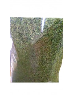 Guaglione origano verde peru kg.1