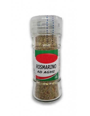 Zenzero rosmarino gr25 ad aghi