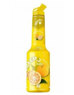 Mixer yuzu cl100