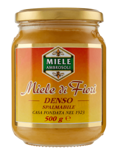 Ambrosoli miele gr500 denso spalmabile