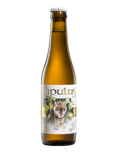 Birra lupulus cl33 blonde