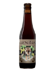 Birra lupulus cl33 brune