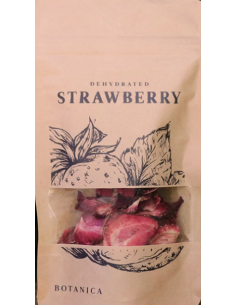 Botanica fragola gr20 disidratata