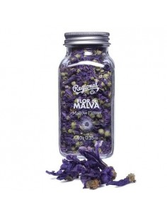 Regional fiore di malva gr10