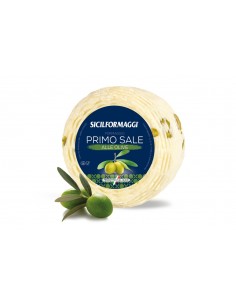 SICILFORM.PRIMO SALE GR500 MINI OLIVE