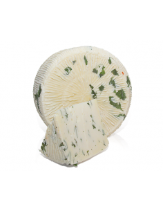 SICILFORM.PRIMO SALE GR500 MINI RUCOLA