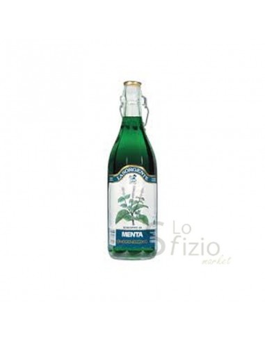 LA SORGENTE SCIROPPO CL100 MENTA