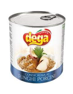 Dega salsa gr500 funghi porcini vetro