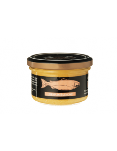 Kv nordic supreme salmone in crema gr100