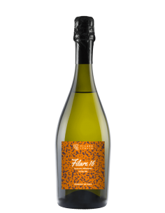 Filare 16 spumante cl75 millesimato