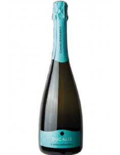 Cantina solopaca dulcalis cl75