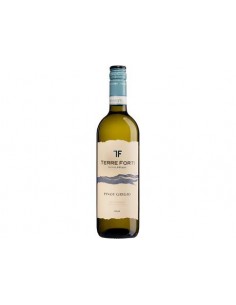 Terre forti cl75 pinot grigio