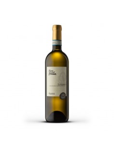 Terrerosse trebbiano cl75