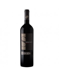 Coppi siniscalco primitivo cl.75