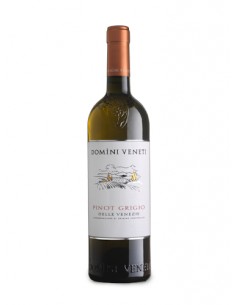 Domini veneti cl75 pinot grigio