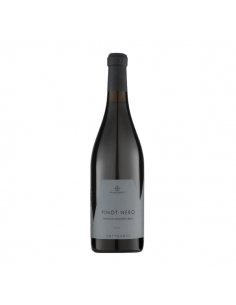 Elmo pio cl150 pinot nero igt