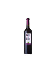 Paolini nero d avola bio cl.75