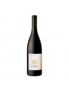 Hofstatter barthenau vigna s.urbano pinot cl75