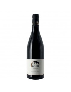 Carlotto pinot nero filari di mazzon cl75