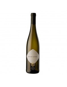 LAVIS MULLER THURGAU CL75