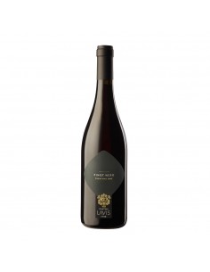 LAVIS PINOT NERO CL75