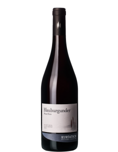 Kurtatsch blauburgunder pinot nero cl.75