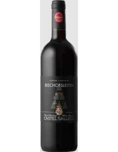 Castel sallegg bischofsleiten schiava cl75