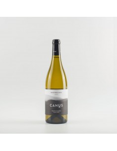 Canus gramogliano cl75