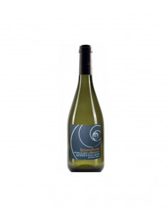 Bradisisma falanghina cl75 campi flegrei