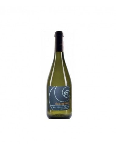 Bradisisma falanghina cl75 campi flegrei