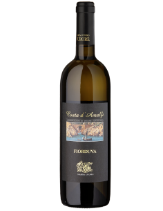 Marisa cuomo fiorduva furore cl300