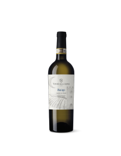 Torre antica vino cl75 greco di tufo docg