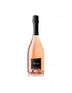 Crogliano lacrima rose  cl75