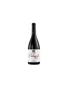Enodelta pallagrello nero cl75 terre del volturno