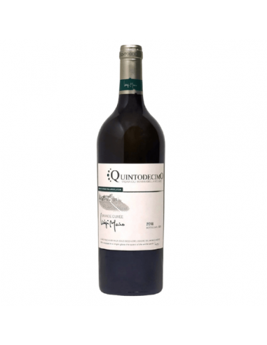 Quintodecimo cl150 grande cuvee luigi moio